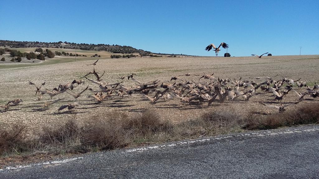 Hotel Rural El Secreto Del Castillo Maderuelo Εξωτερικό φωτογραφία